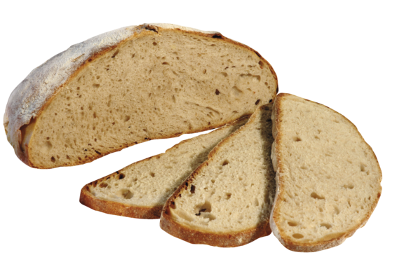 Schaeferlaible