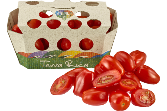 Roma- Cherry- Tomaten