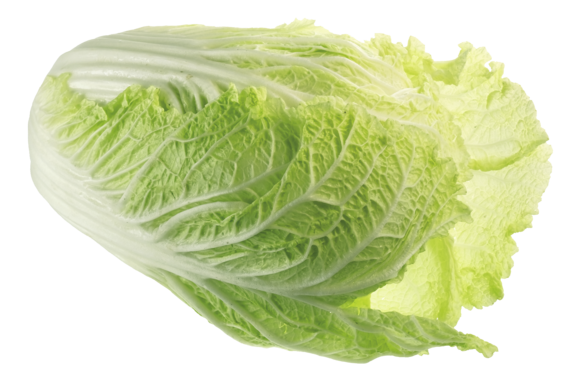 Chinakohl