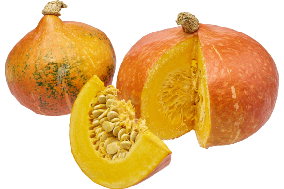 Hokkaido Kürbis