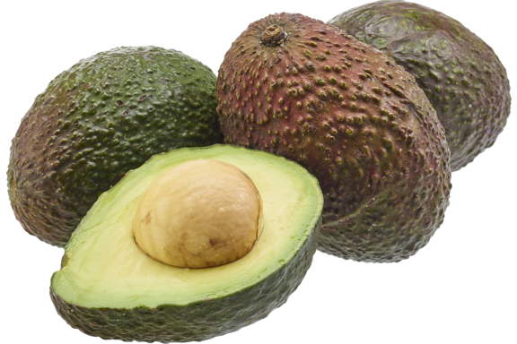 Avocado