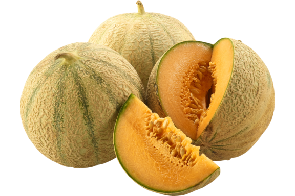 Melone
